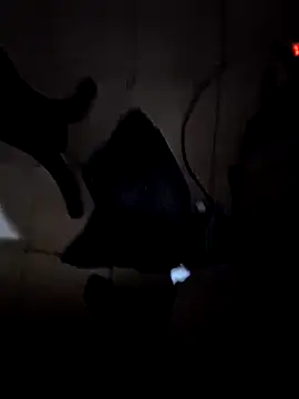 everyoneneeds online show from 12.26.24