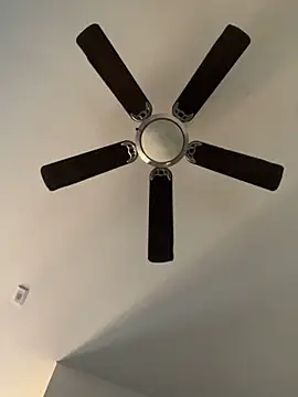 Snapshot of goldbuni chatting on 12.19.24 goldbuni online show from 12.19.24