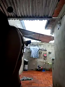 room 24funn online show from 02.16.26