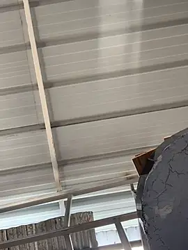 Snapshot of ThomasSAS chatting on 03.03.26 ThomasSAS online show from 03.03.26