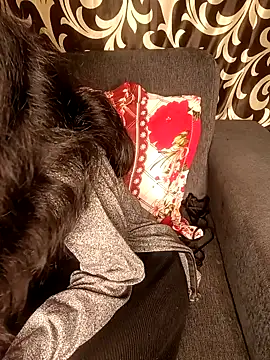 Snapshot of REVA_DARLING chatting on 01.11.25 REVA DARLING online show from 01.11.25