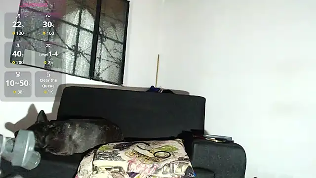 willian m777 online show from 02.06.26