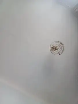 Snapshot of katymojadit chatting on 01.20.25 katymojadit online show from 01.20.25