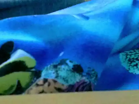 zhan7965 online show from 12.30.24