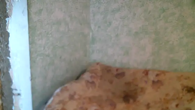 DennisXCaroll online show from 04.23.26