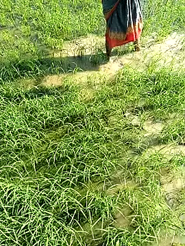 hairipussy2 online show from 02.07.25