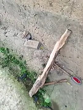 hairipussy2 online show from 03.04.25