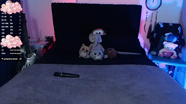 Snapshot of Theprojectsaraa chatting on 12.30.24 Theprojectsaraa online show from 12.30.24