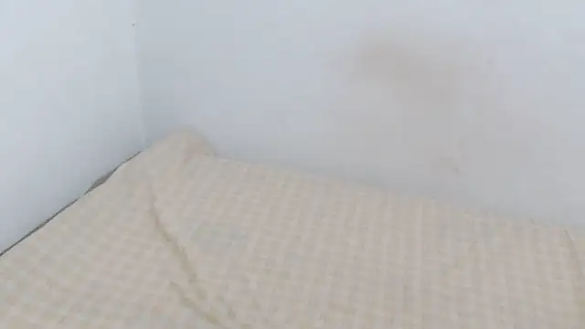 Snapshot of Adara_cooper22 chatting on 10.30.25 Adara cooper22 online show from 10.30.25