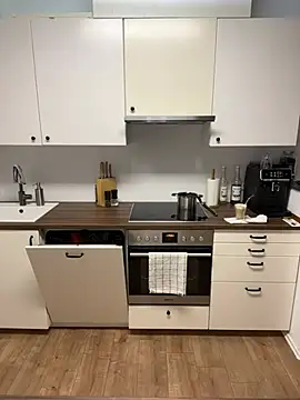 Snapshot of Fancy-Francy chatting on 01.24.25 Fancy-Francy online show from 01.24.25