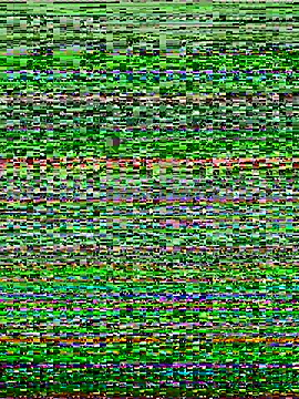 Snapshot of PussyWet_ chatting on 11.21.25 PussyWet online show from 11.21.25