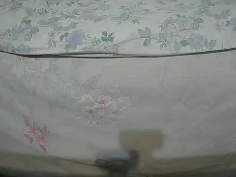 Tiger202441 online show from 12.16.24