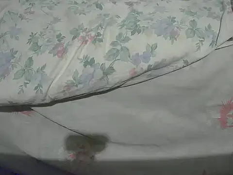 Tiger202441 online show from 12.20.24