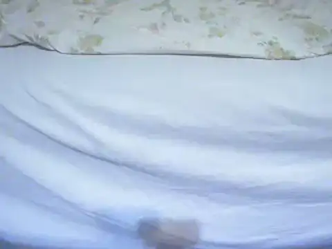 Tiger202441 online show from 02.12.25