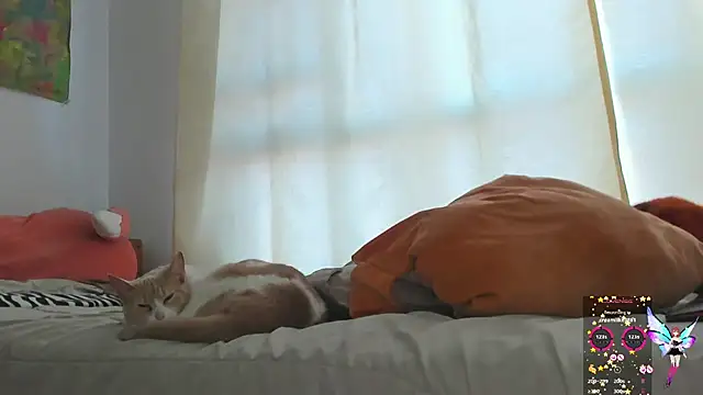 linnie  online show from 01.30.25