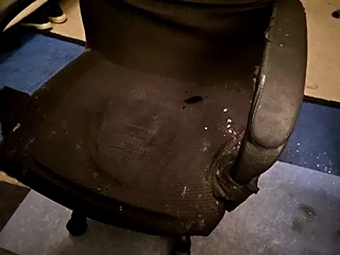 Migaruo online show from 04.19.26