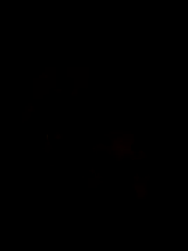 Ory22 online show from 11.01.25