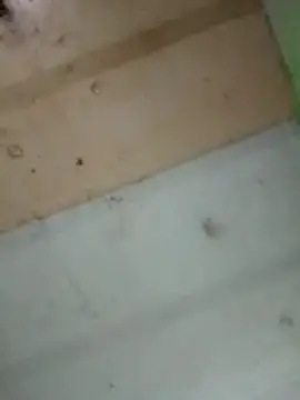 Snapshot of Alonsomadeira chatting on 02.10.26 Alonsomadeira online show from 02.10.26