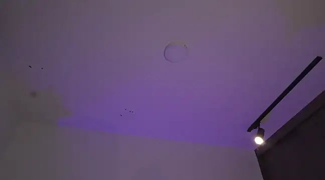 appolo allen online show from 03.17.25