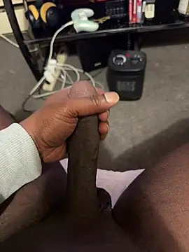 Cameltoekilla online show from 02.12.26