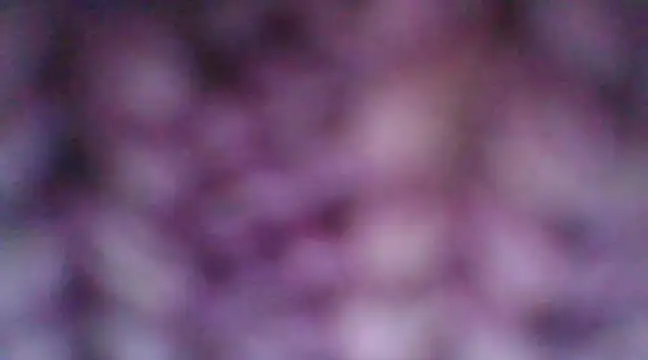 mia cooper 24 online show from 12.30.24