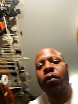 personalityalwayswins2 online show from 12.11.24