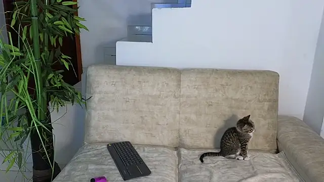 Snapshot of Lorenne_Miller chatting on 10.20.25 Lorenne Miller online show from 10.20.25