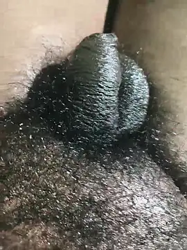 rajrahulovi online show from 02.02.26