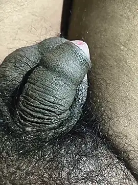 rajrahulovi online show from 02.14.26