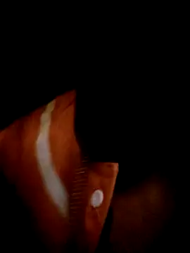 Snapshot of ale3J4a chatting on 02.02.25 ale3J4a online show from 02.02.25