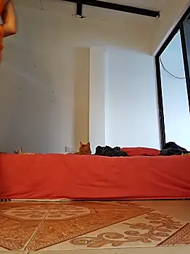 Abbyjonhson   online show from 02.11.26