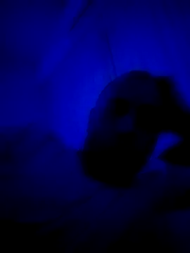 HELL FIRE online show from 09.30.25