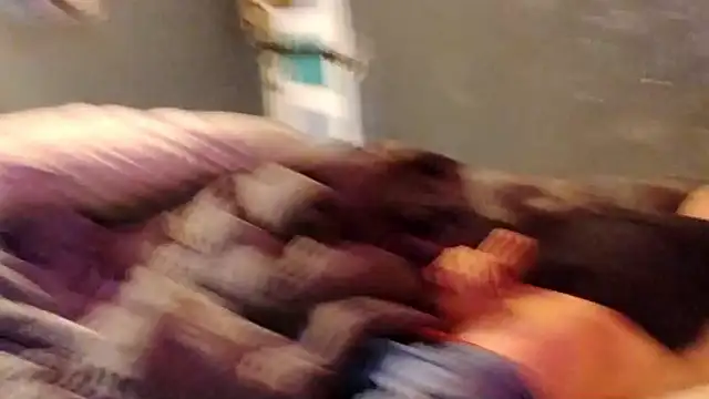 OFxzylo online show from 03.11.26