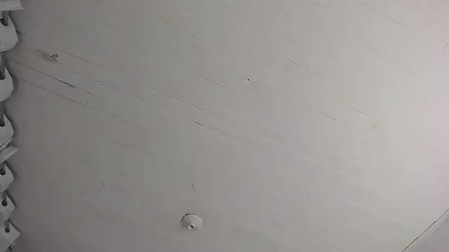 Snapshot of TiffanyWright chatting on 11.29.25 TiffanyWright online show from 11.29.25