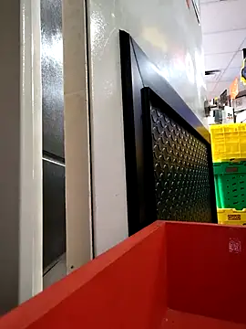 Snapshot of VL25DN26 chatting on 11.19.25 VL25DN26 online show from 11.19.25