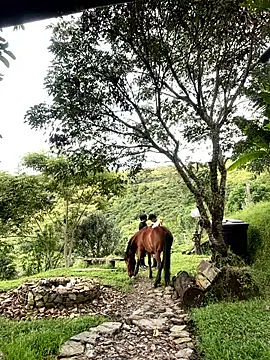 Snapshot of FlpGmz chatting on 04.04.26 FlpGmz online show from 04.04.26