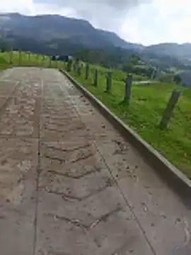 Cuervo maniaco online show from 12.17.25