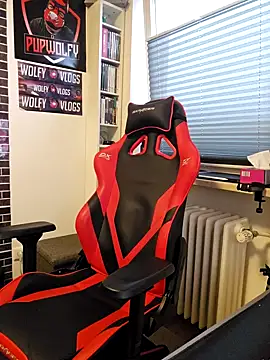 PupW0lfy online show from 01.28.25