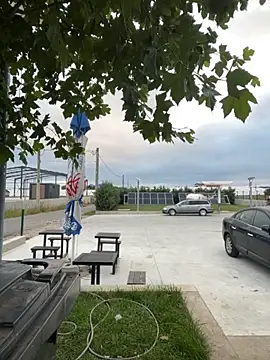 baramadalin online show from 10.01.25