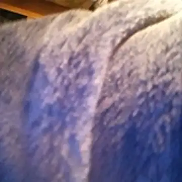 amarrabrown2024 online show from 10.15.25