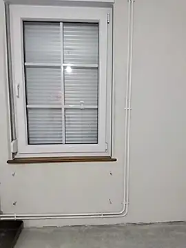 Snapshot of poussichienne chatting on 02.19.26 poussichienne online show from 02.19.26