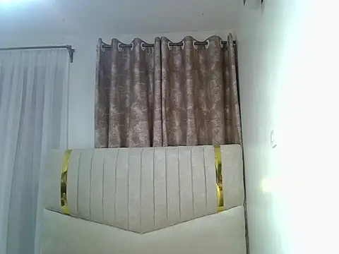 Snapshot of pretty_hearty chatting on 02.17.26 pretty hearty online show from 02.17.26