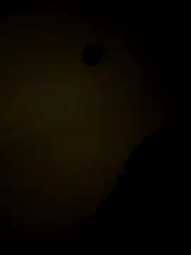 sluttydylan online show from 12.17.25