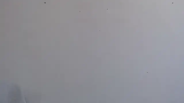 Niurca01  online show from 09.26.25