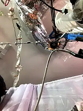 gurlnips online show from 11.26.25