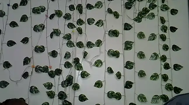 Snapshot of sexybree_ chatting on 01.23.25 sexybree online show from 01.23.25