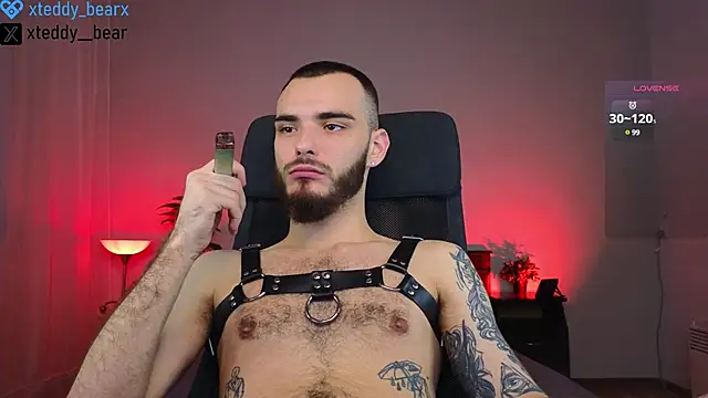 Snapshot of xteddy_bear chatting on 01.20.25 xteddy bear online show from 01.20.25