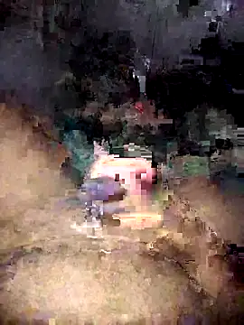 Zenfox24 online show from 04.07.26