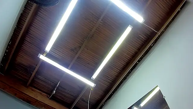 esteban cor online show from 01.22.25