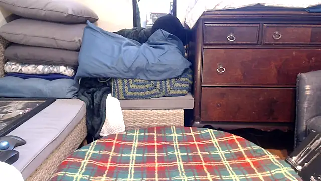 ladyscarlotta online show from 02.08.25